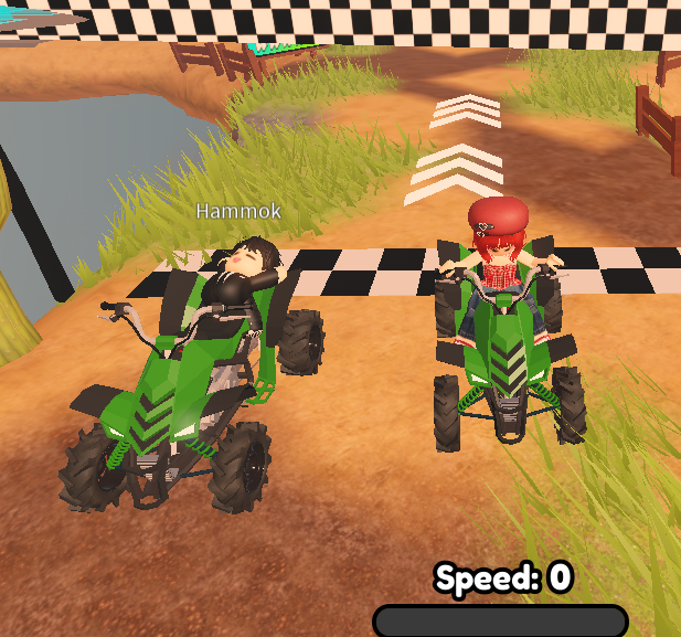 ATV race
